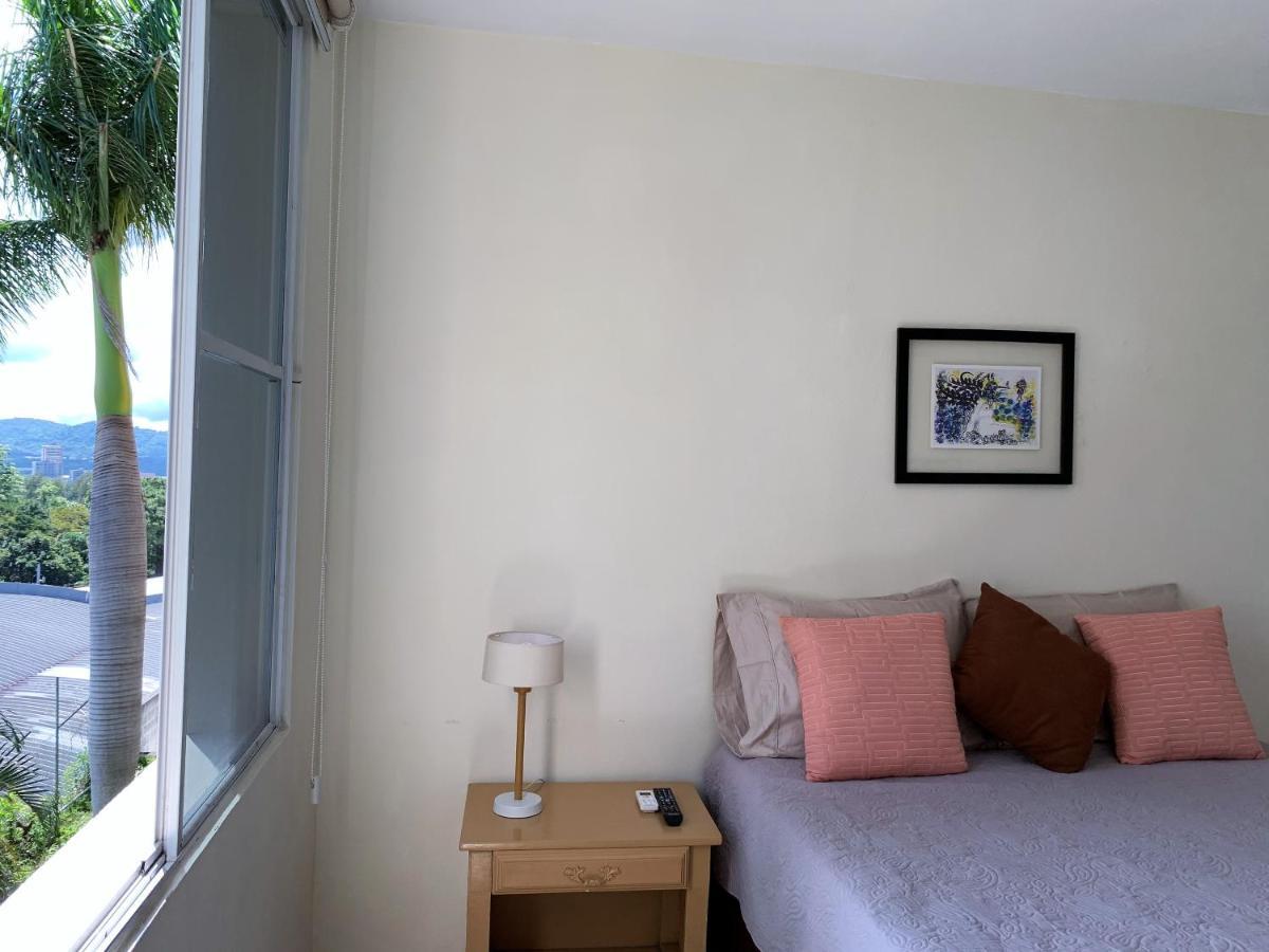 סאן סלבדור Luxury Modrn Apartment, W/Amazing View, 3Br,Escalon,Exclus,Secur מראה חיצוני תמונה