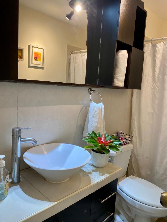 סאן סלבדור Luxury Modrn Apartment, W/Amazing View, 3Br,Escalon,Exclus,Secur מראה חיצוני תמונה
